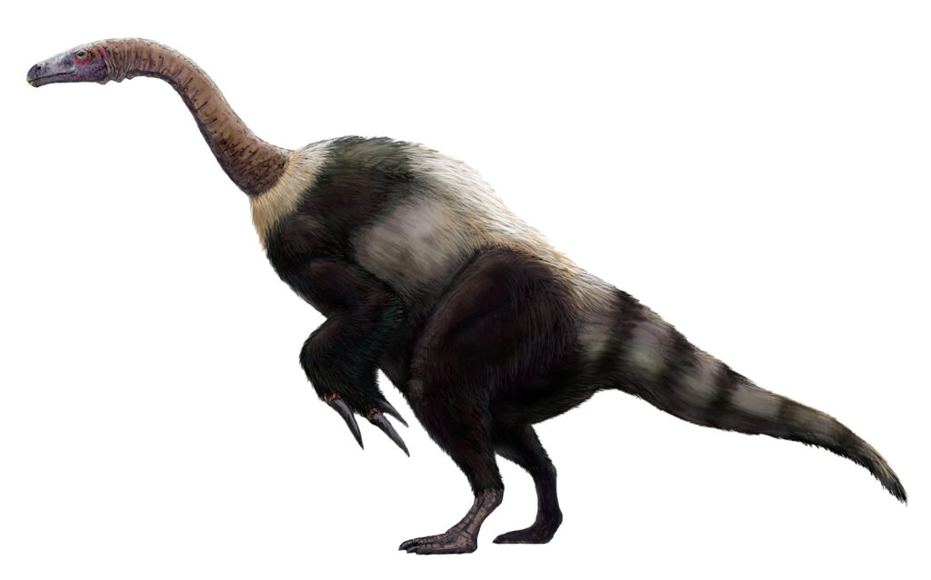 Suzhousaurus