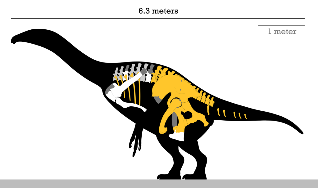 Suzhousaurus